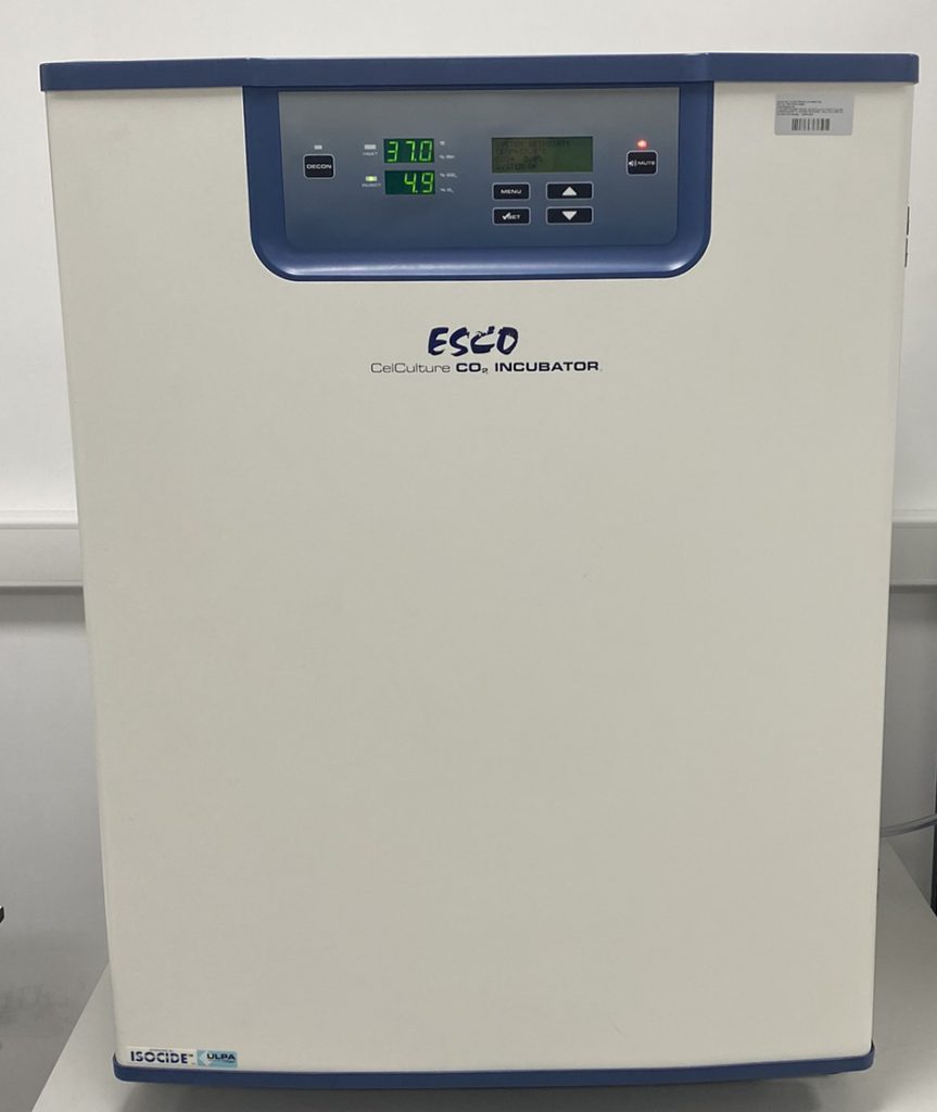 HÜCRE KÜLTÜRÜ LABORATUVARI YTÜ Merkezi Araştırma Laboratuvarı