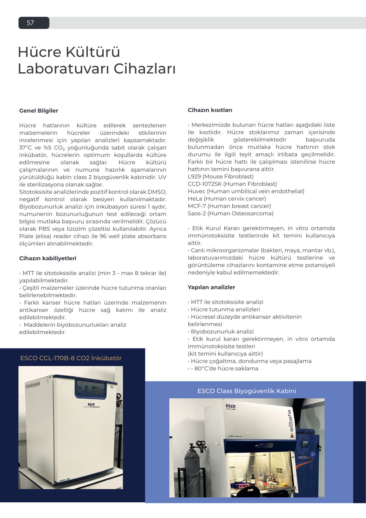 Broşür sayfa 58